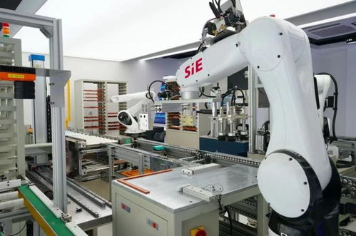 賽意信息2020年度業(yè)績說明會 智能制造業(yè)務(wù)高速增長，研發(fā)投入驅(qū)動智能機(jī)器人創(chuàng)新發(fā)展